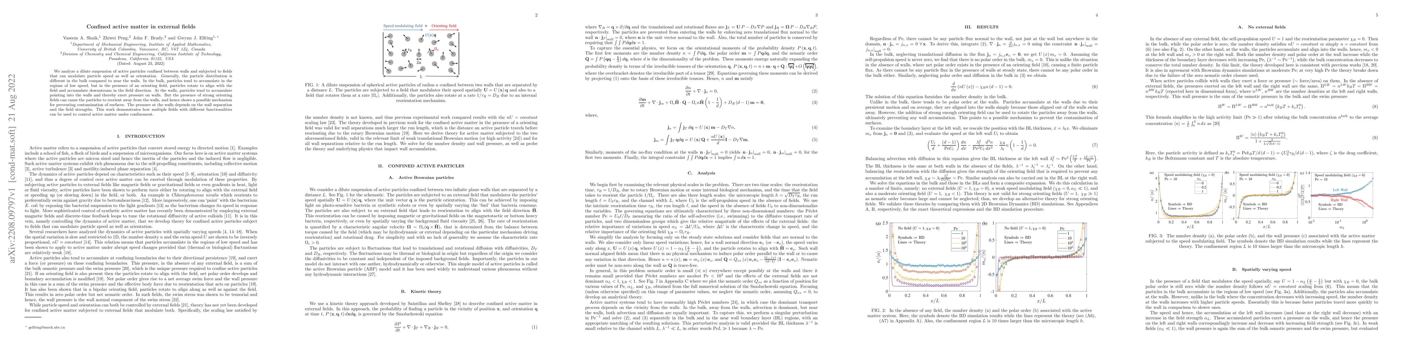 Thumbnail for Confined active matter in external fields