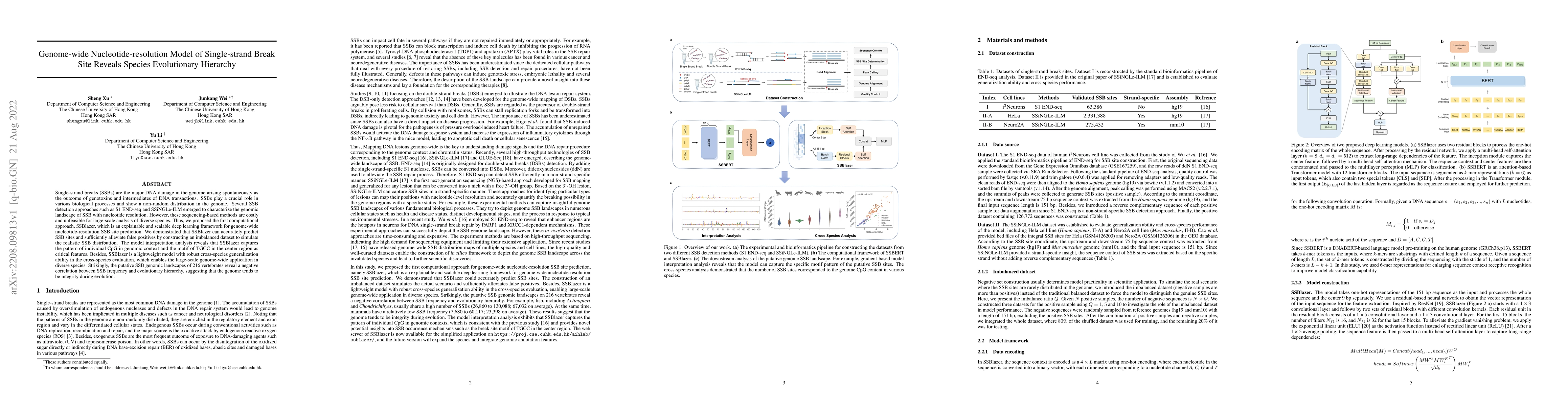 Thumbnail for Genome-wide nucleotide-resolution model of single-strand break site
  reveals species evolutionary hierarchy