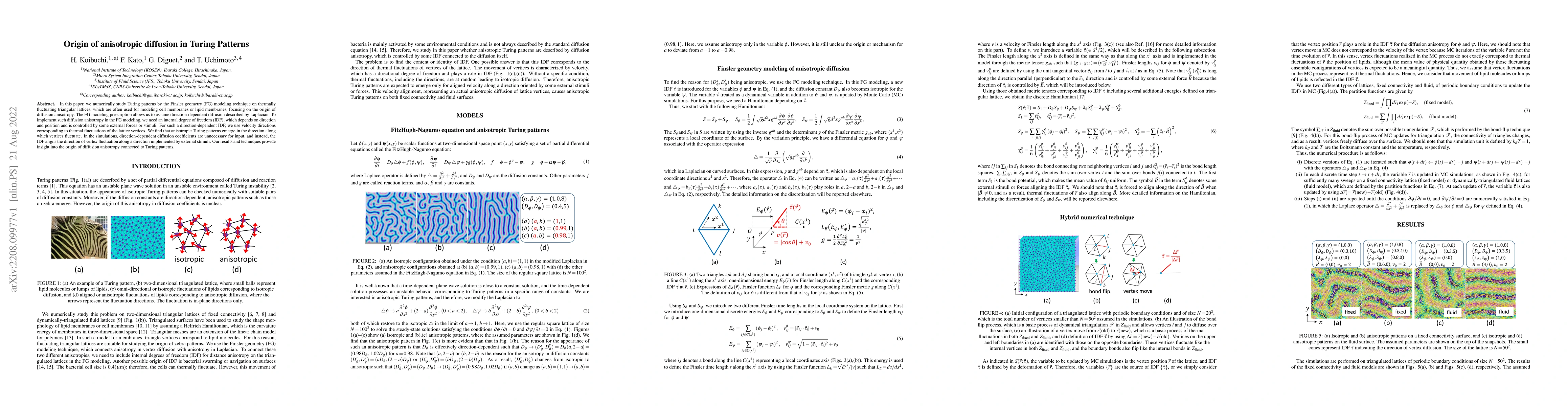Thumbnail for Origin of anisotropic diffusion in Turing Patterns