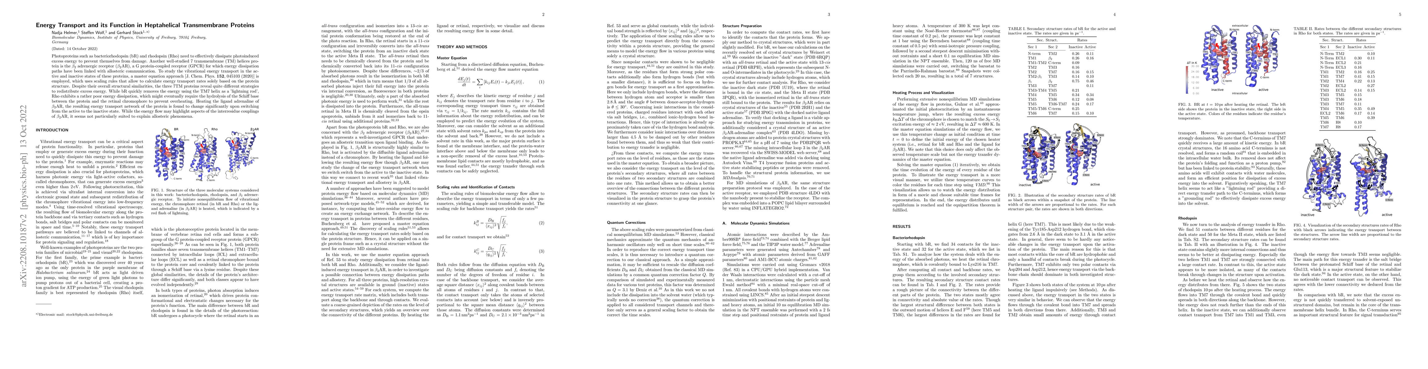 Thumbnail for Energy Transport and its Function in Heptahelical Transmembrane Proteins