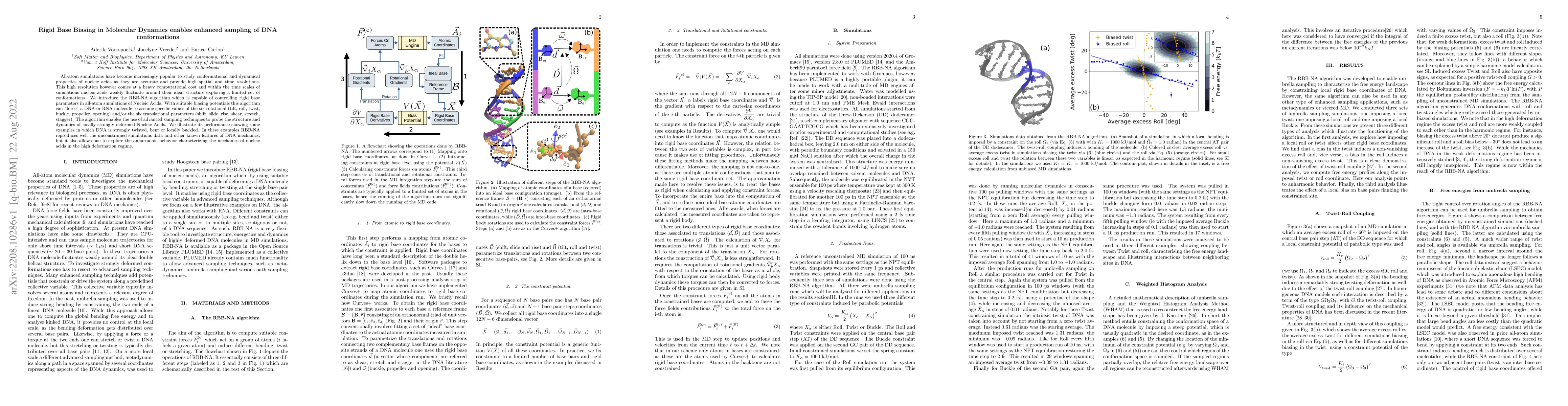 Thumbnail for Rigid Base Biasing in Molecular Dynamics enables enhanced sampling of
  DNA conformations