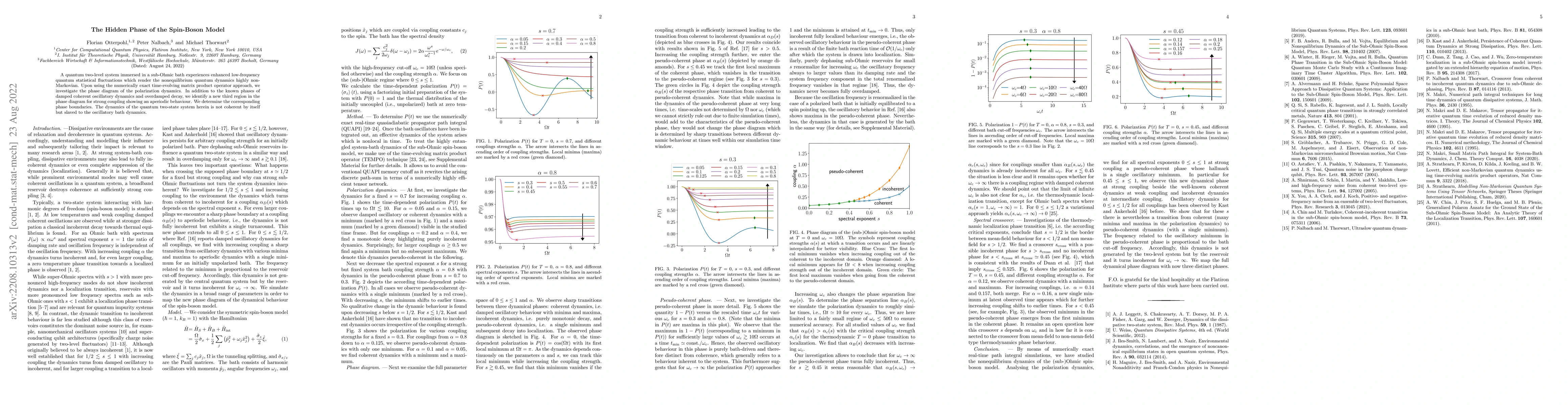 Thumbnail for The Hidden Phase of the Spin-Boson Model