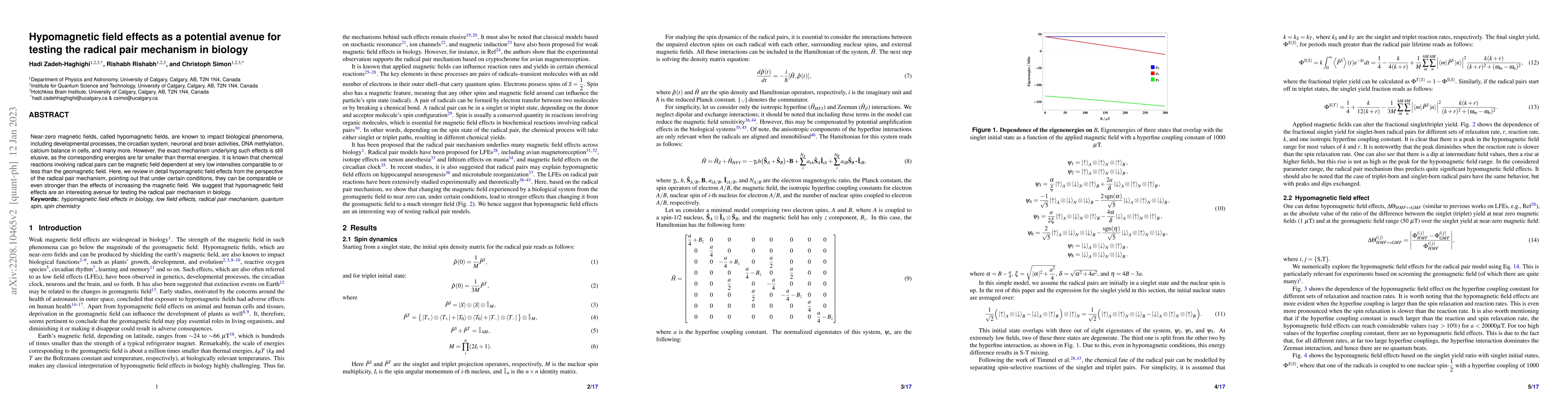 Thumbnail for Hypomagnetic field effects as a potential avenue for testing the radical
  pair mechanism in biology