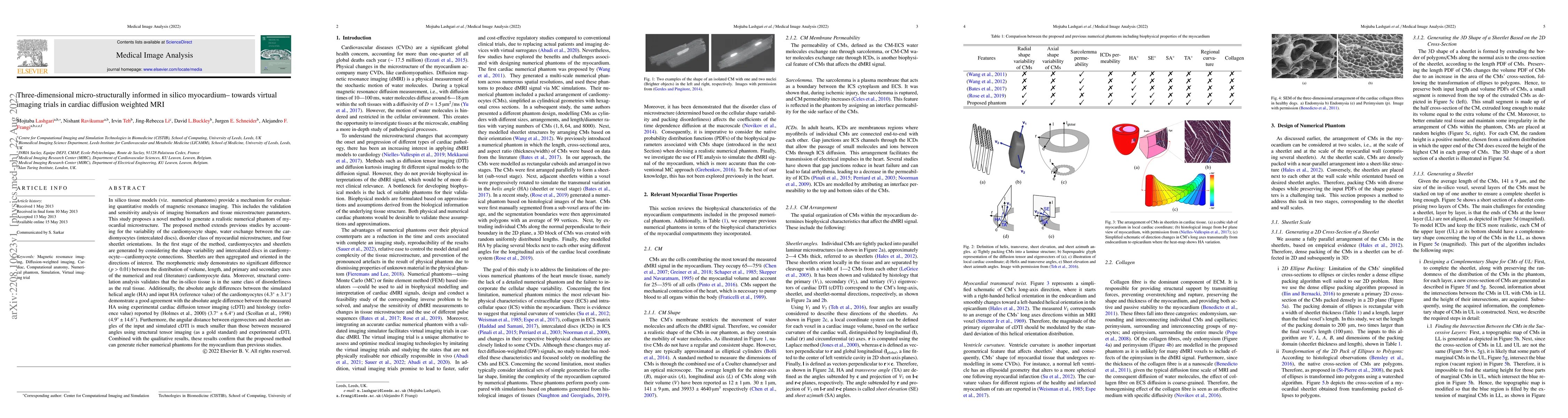Thumbnail for Three-dimensional micro-structurally informed in silico myocardium --
  towards virtual imaging trials in cardiac diffusion weighted MRI