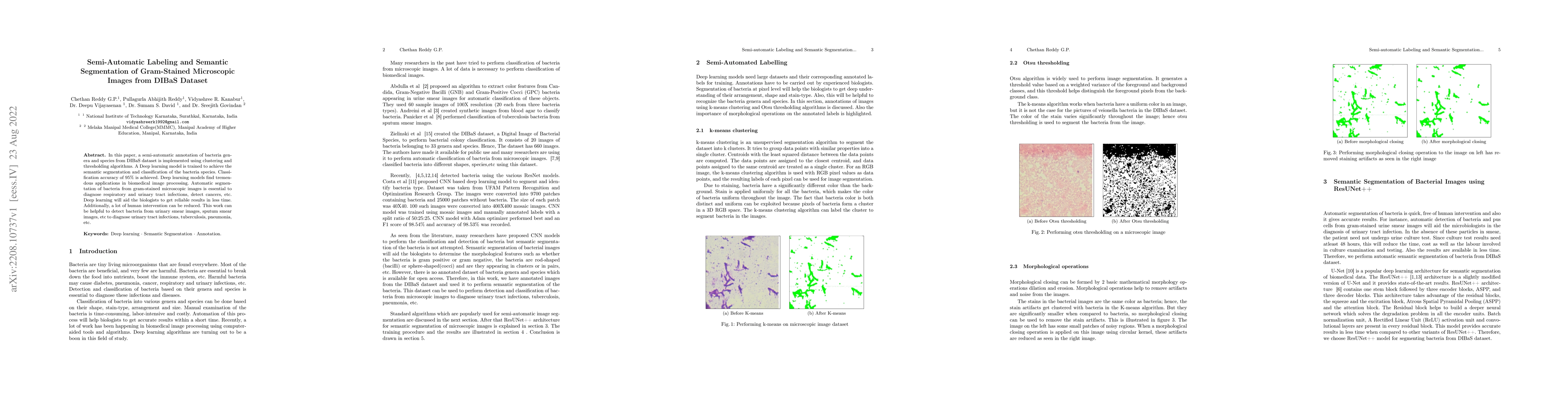 Thumbnail for Semi-Automatic Labeling and Semantic Segmentation of Gram-Stained
  Microscopic Images from DIBaS Dataset