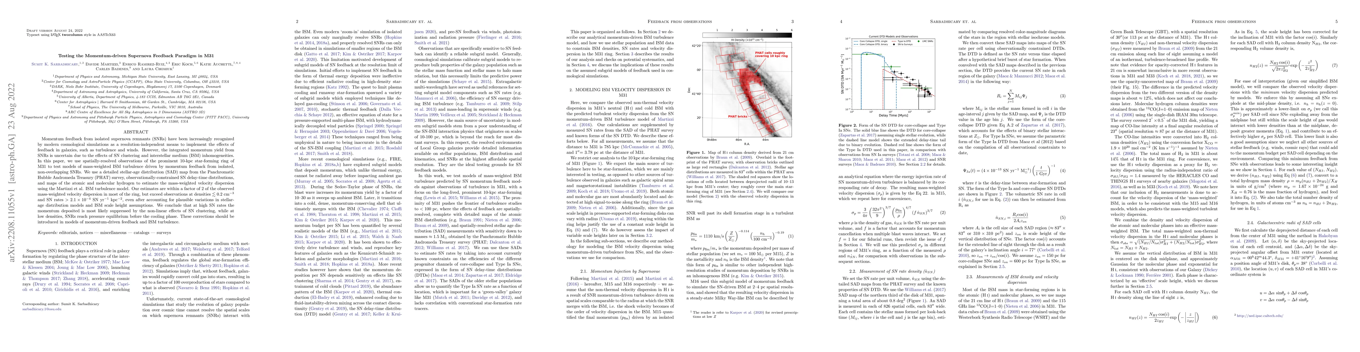 Thumbnail for Testing the Momentum-driven Supernova Feedback Paradigm in M31