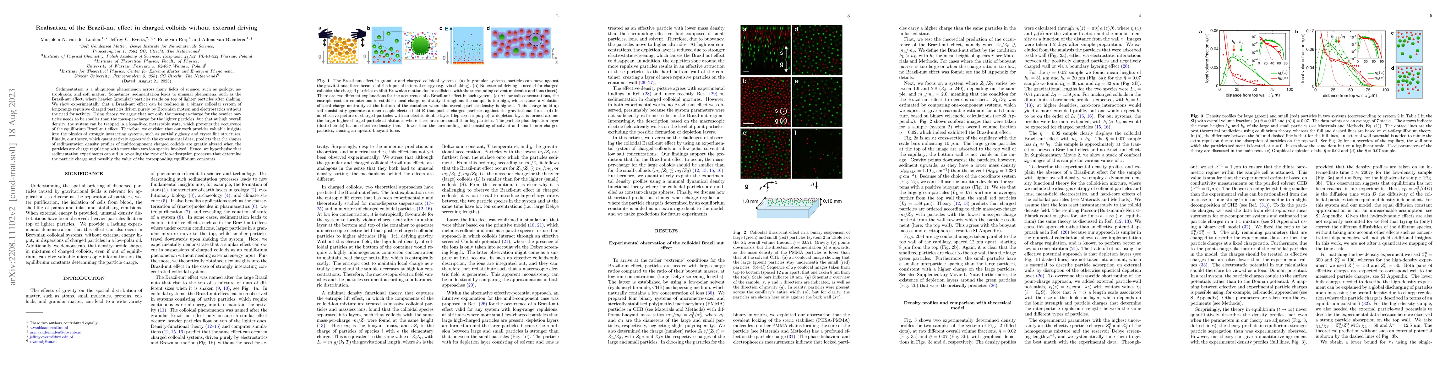 Thumbnail for Realisation of the Brazil-nut effect in charged colloids without
  external driving