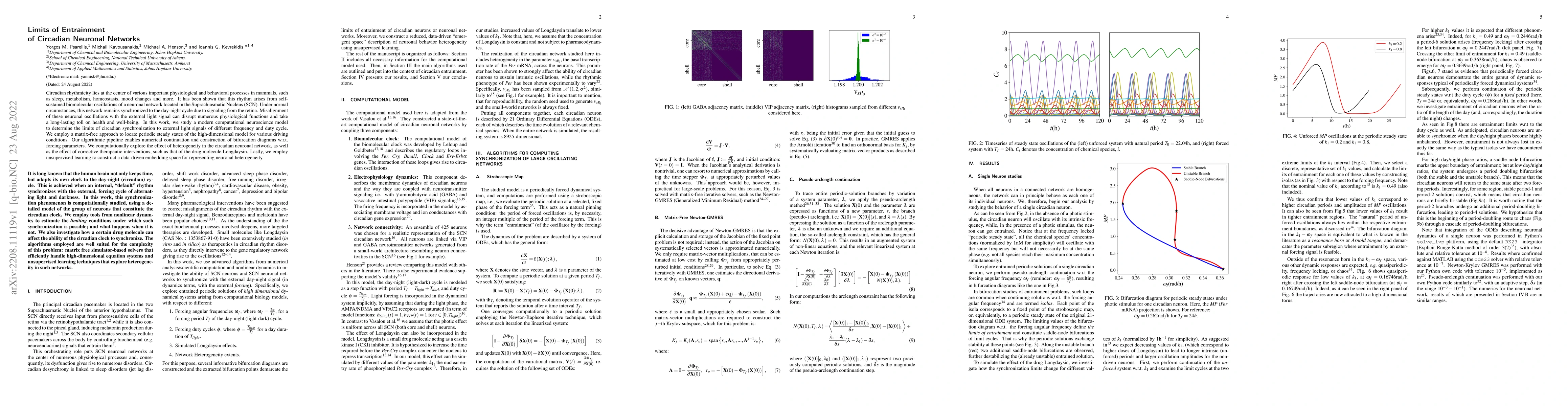 Thumbnail for Limits of Entrainment of Circadian Neuronal Networks
