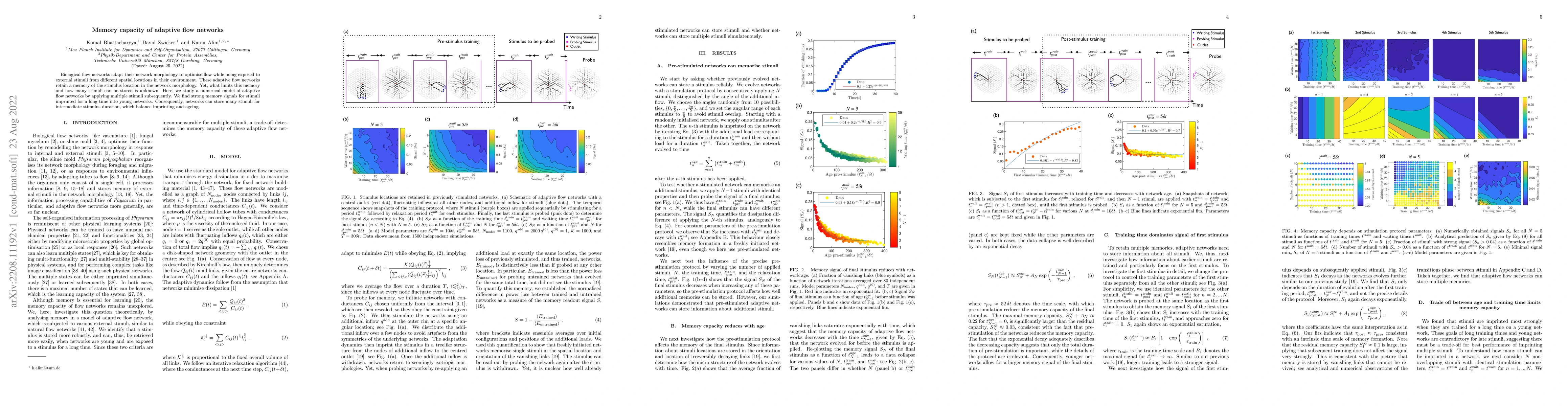 Thumbnail for Memory capacity of adaptive flow networks
