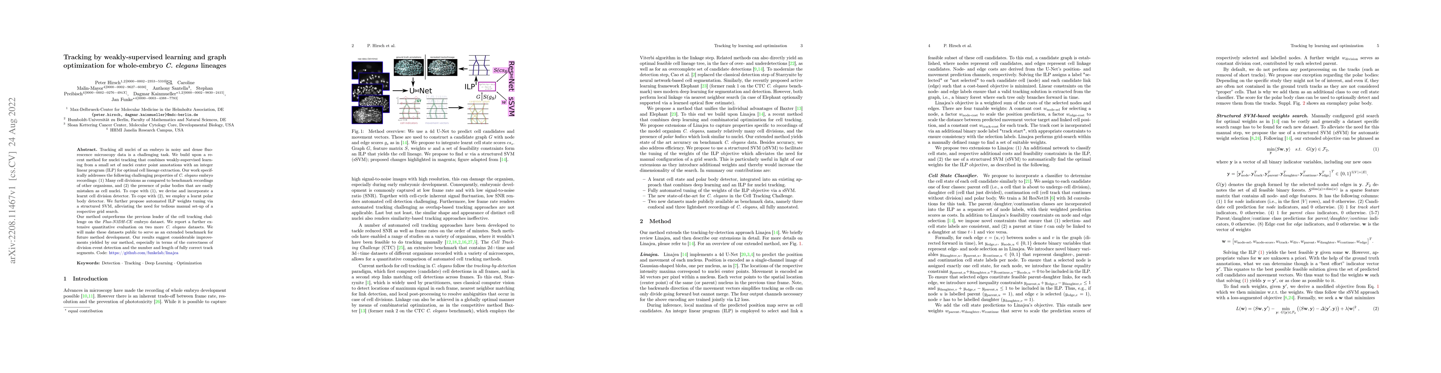 Thumbnail for Tracking by weakly-supervised learning and graph optimization for
  whole-embryo C. elegans lineages