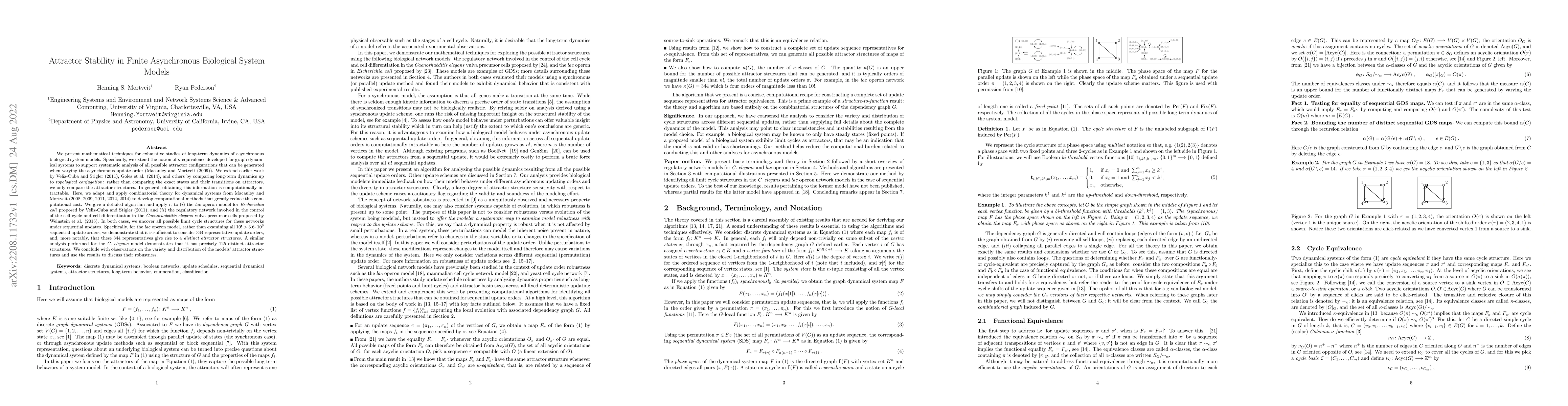 Thumbnail for Attractor Stability in Finite Asynchronous Biological System Models