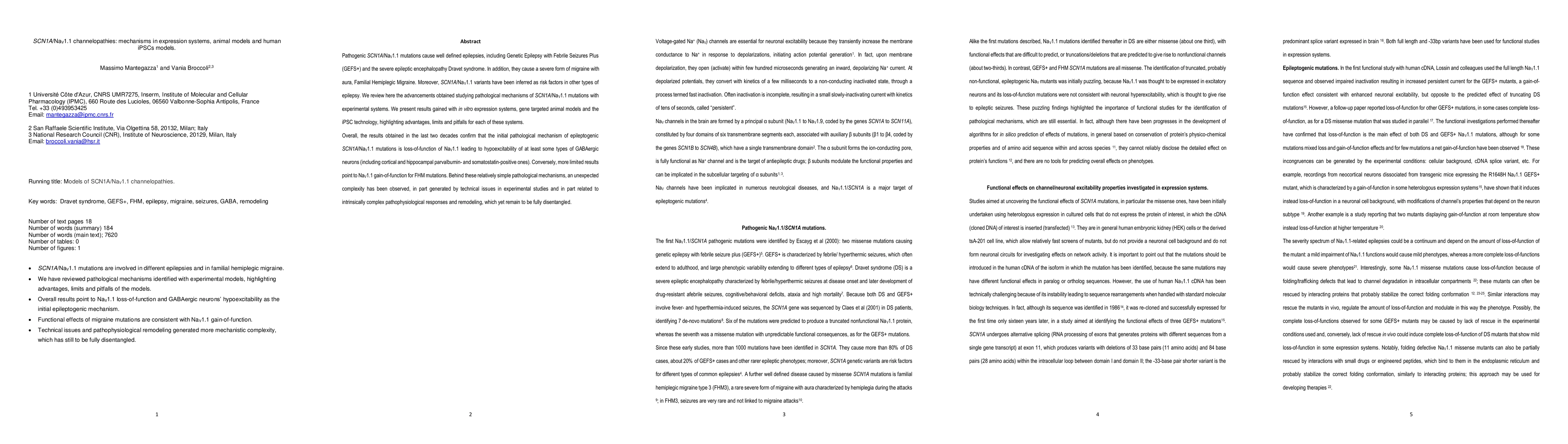 Thumbnail for SCN 1A /Na V 1.1 channelopathies: Mechanisms in expression systems,
  animal models, and human iPSC models