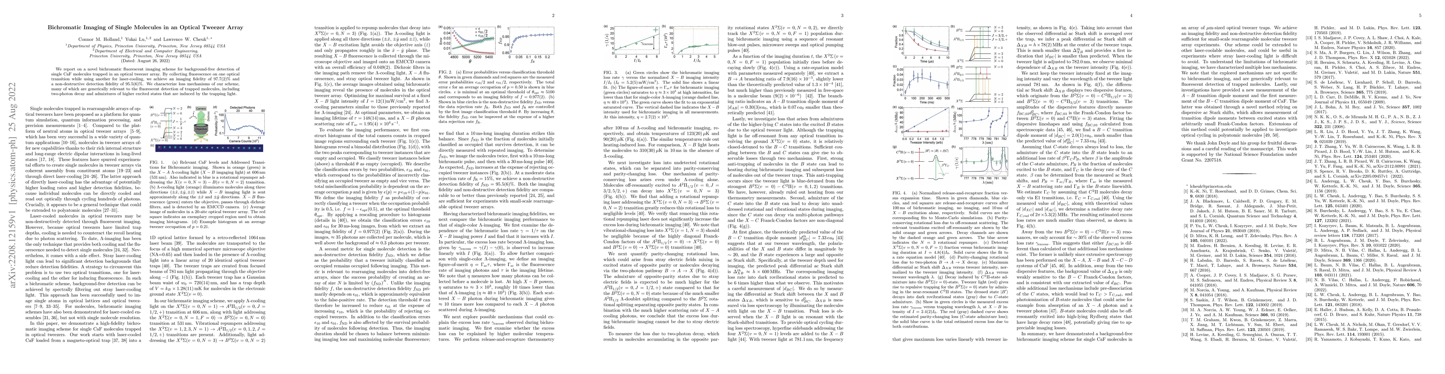 Thumbnail for Bichromatic Imaging of Single Molecules in an Optical Tweezer Array
