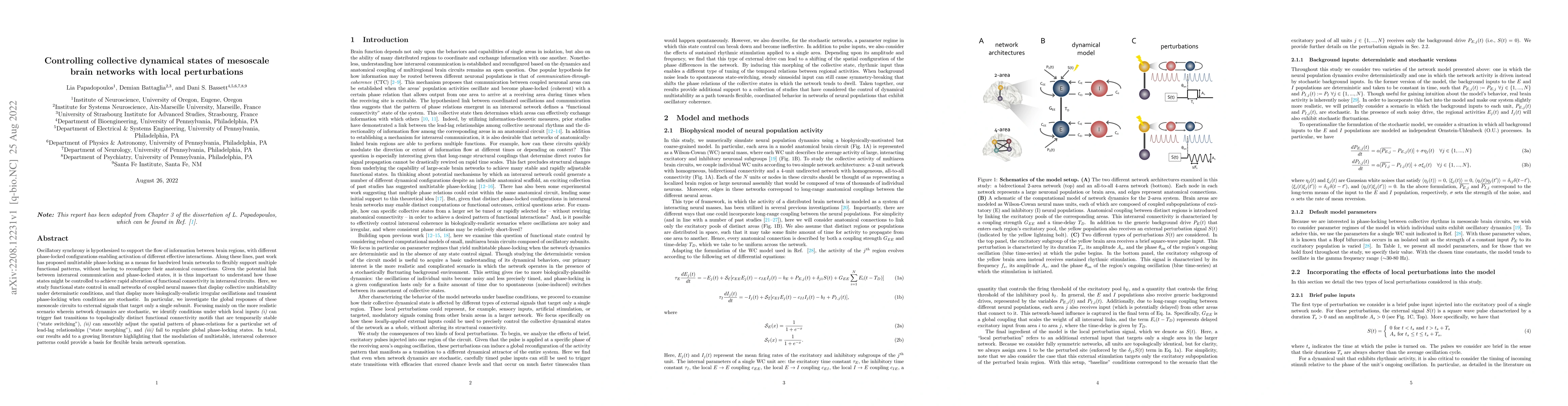 Thumbnail for Controlling collective dynamical states of mesoscale brain networks with
  local perturbations