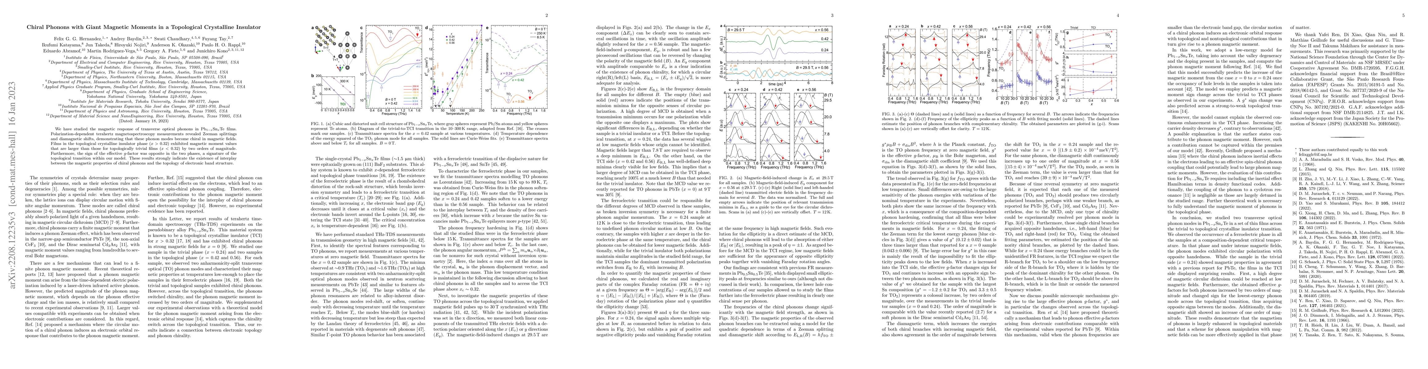 Thumbnail for Chiral Phonons with Giant Magnetic Moments in a Topological Crystalline
  Insulator