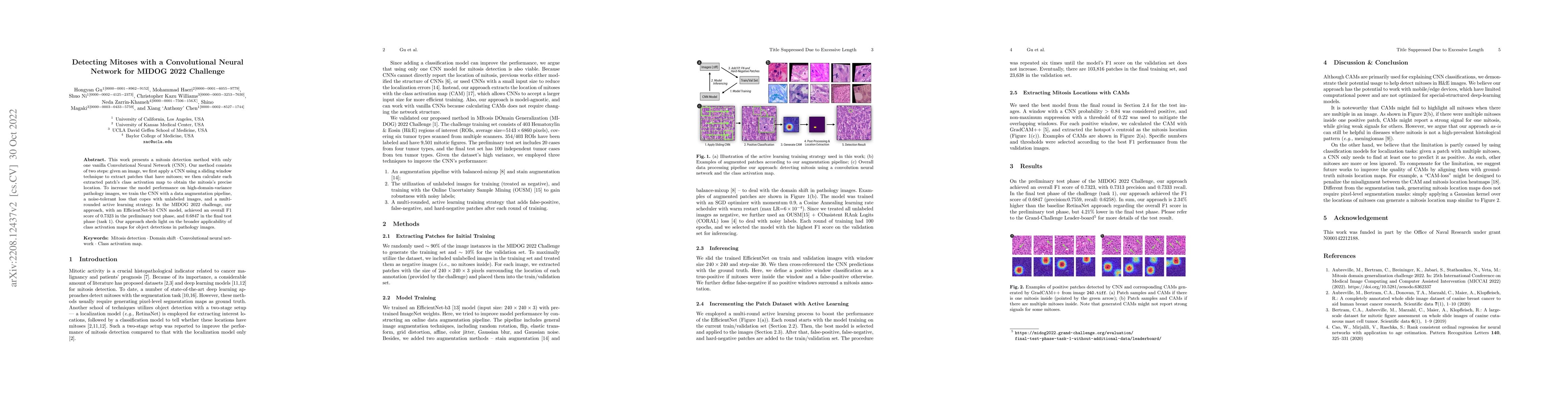 Thumbnail for Detecting Mitoses with a Convolutional Neural Network for MIDOG 2022
  Challenge