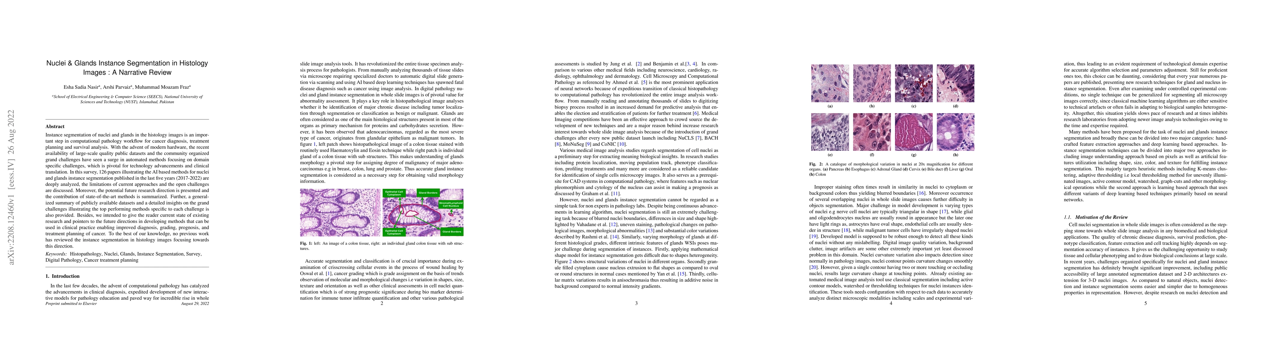 Thumbnail for Nuclei & Glands Instance Segmentation in Histology Images: A Narrative
  Review