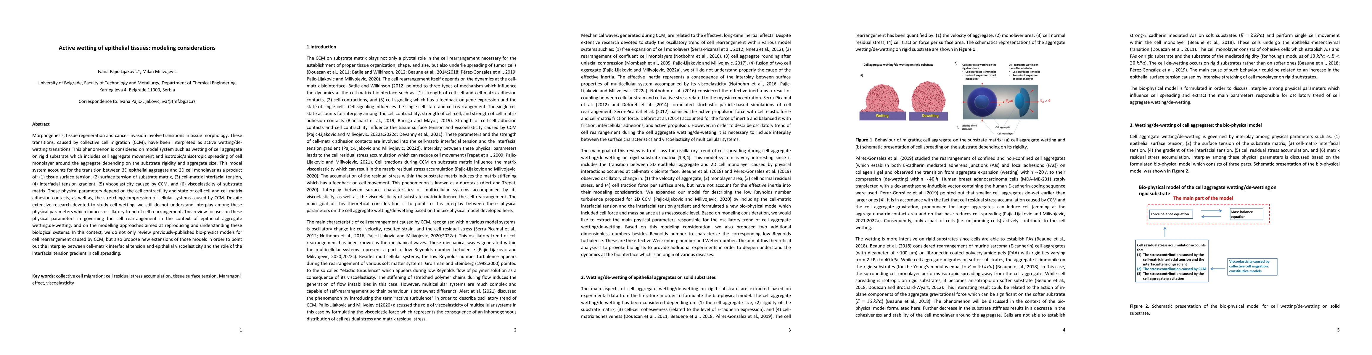 Thumbnail for Active wetting of epithelial tissues: modeling considerations