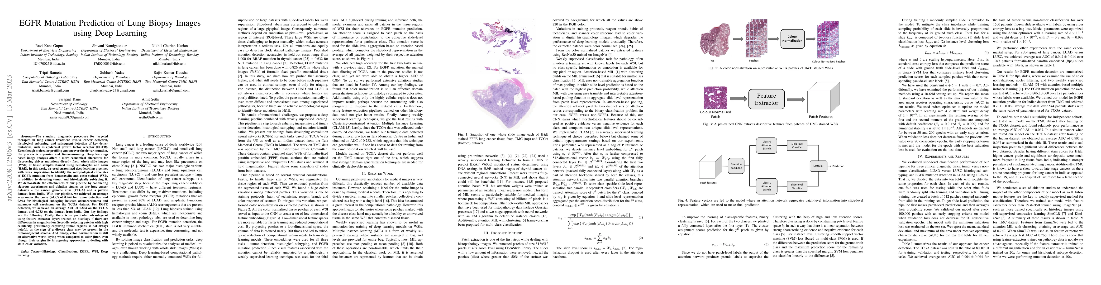 Thumbnail for EGFR Mutation Prediction of Lung Biopsy Images using Deep Learning