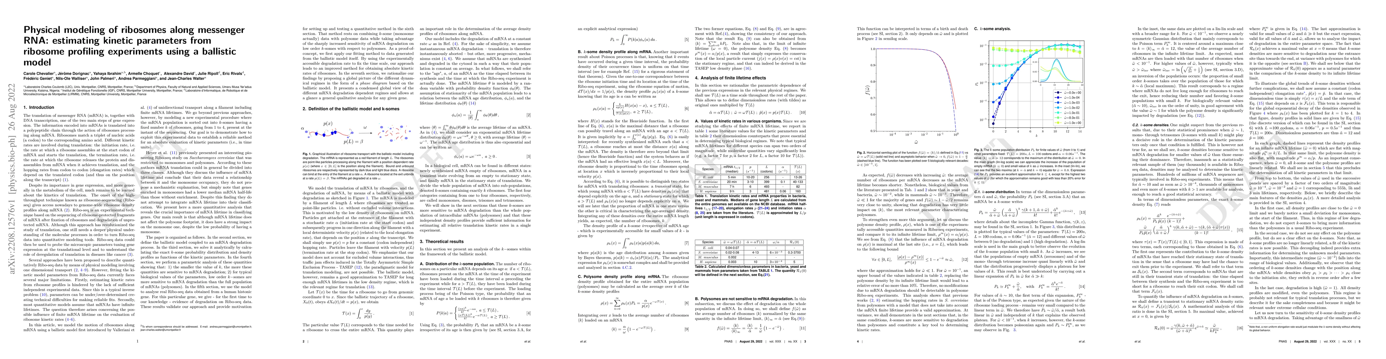 Thumbnail for Physical modeling of ribosomes along messenger RNA: estimating kinetic
  parameters from ribosome profiling experiments using a ballistic model
