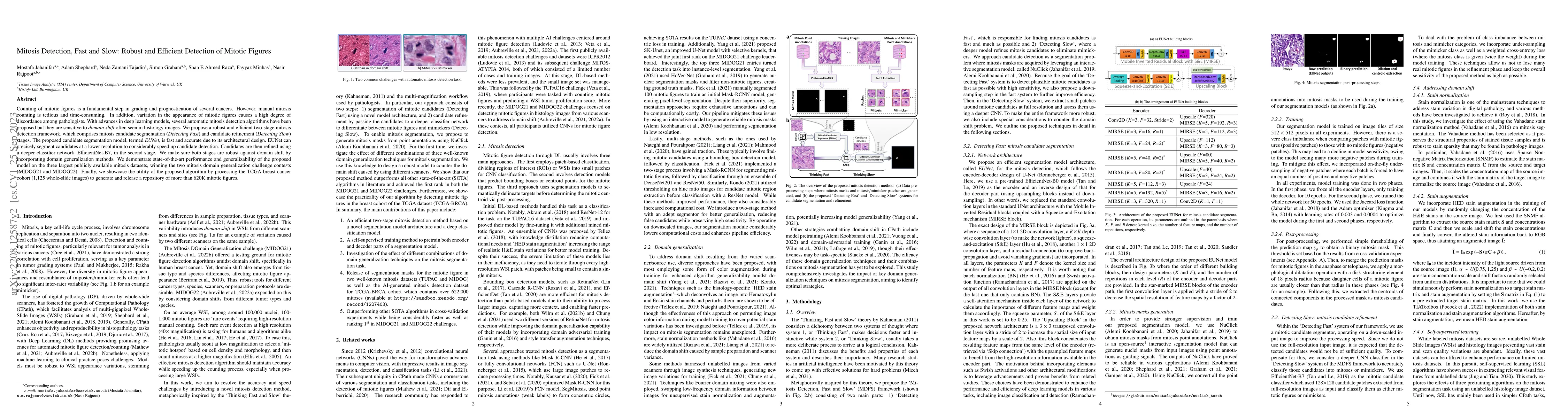 Thumbnail for Mitosis Detection, Fast and Slow: Robust and Efficient Detection of
  Mitotic Figures