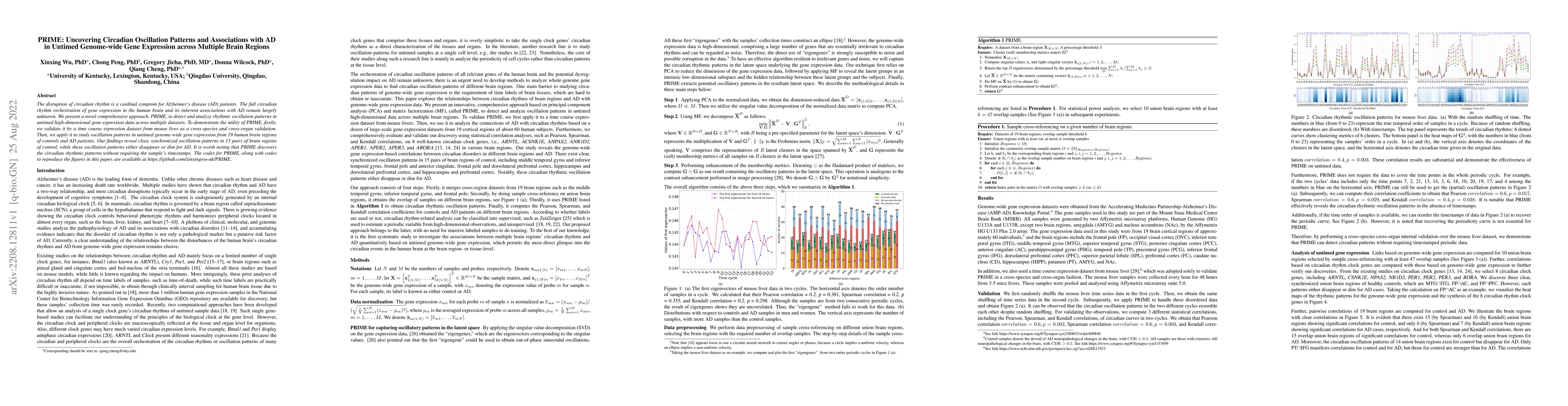 Thumbnail for PRIME: Uncovering Circadian Oscillation Patterns and Associations with
  AD in Untimed Genome-wide Gene Expression across Multiple Brain Regions