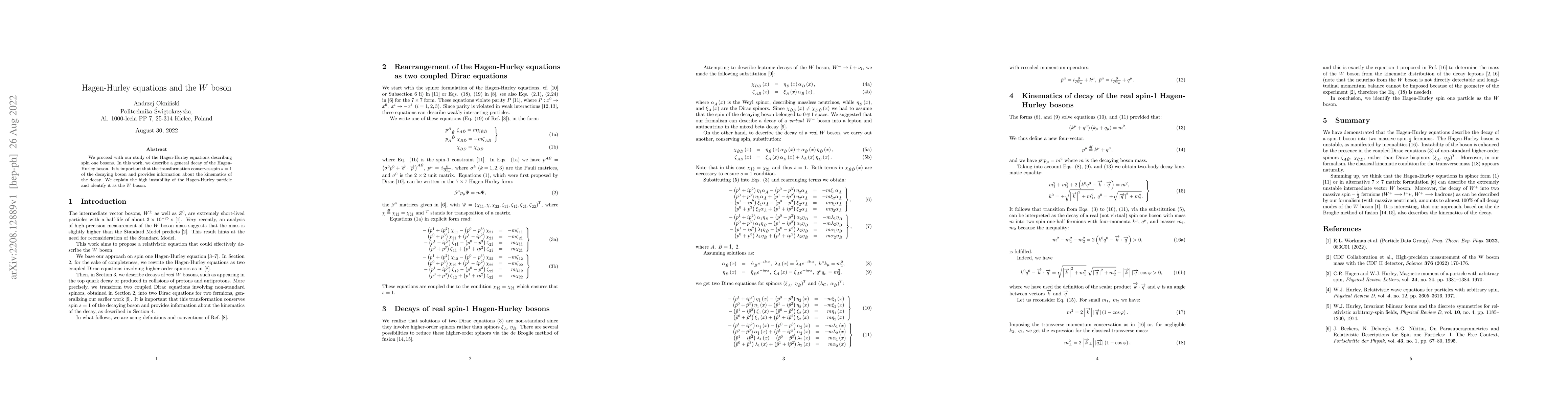 Thumbnail for Hagen-Hurley equations and the $W$ boson