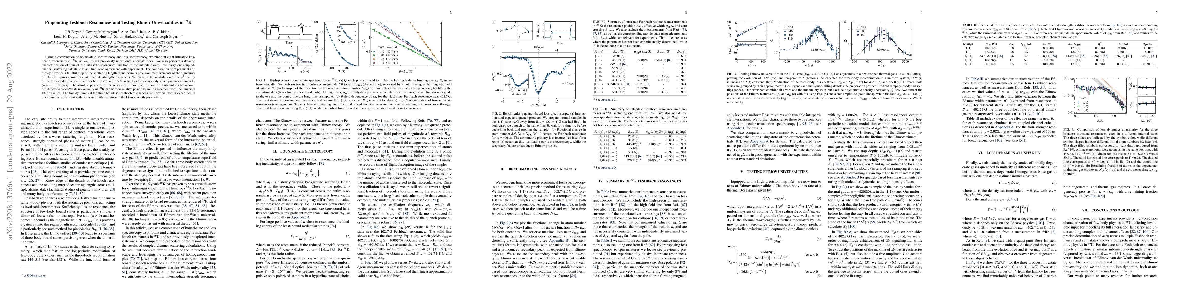 Thumbnail for Pinpointing Feshbach Resonances and Testing Efimov Universalities in
  $^{39}$K
