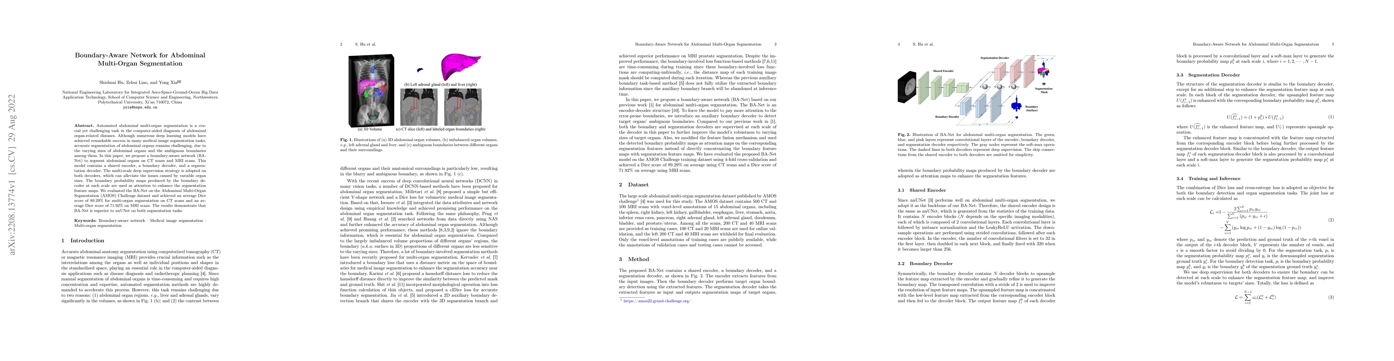 Thumbnail for Boundary-Aware Network for Abdominal Multi-Organ Segmentation