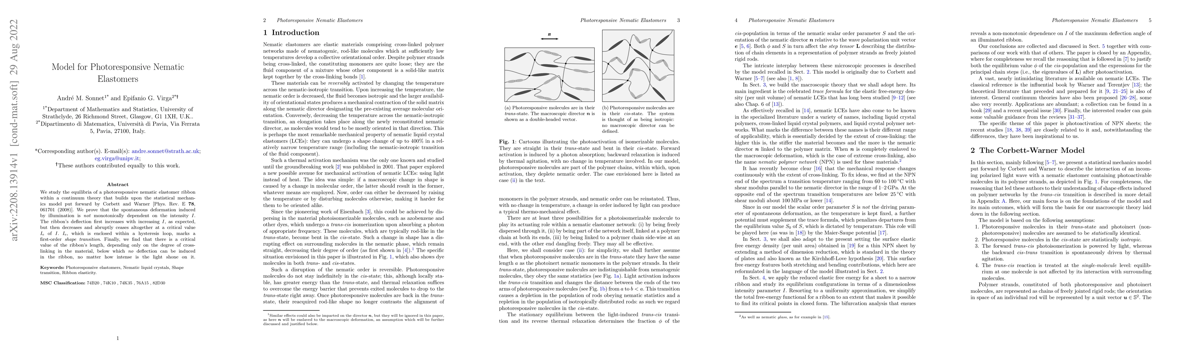Thumbnail for Model for Photoresponsive Nematic Elastomers