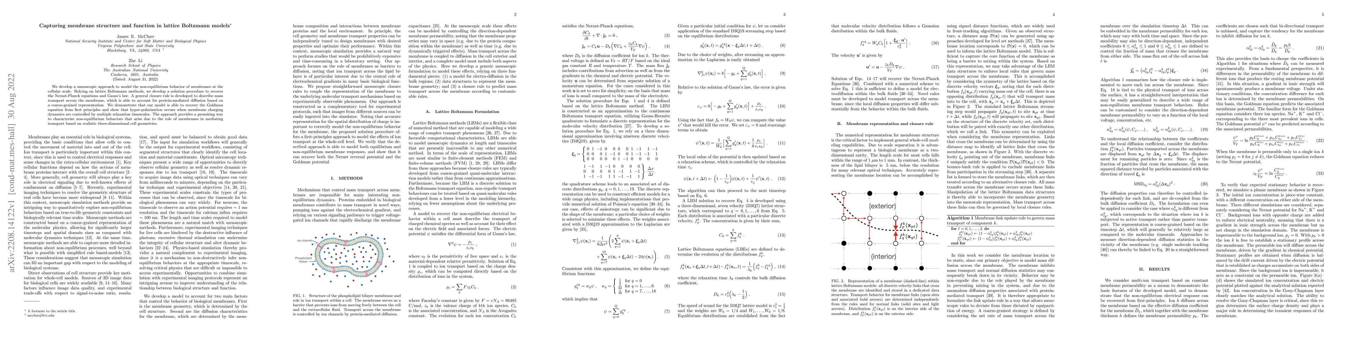Thumbnail for Capturing membrane structure and function in lattice Boltzmann models