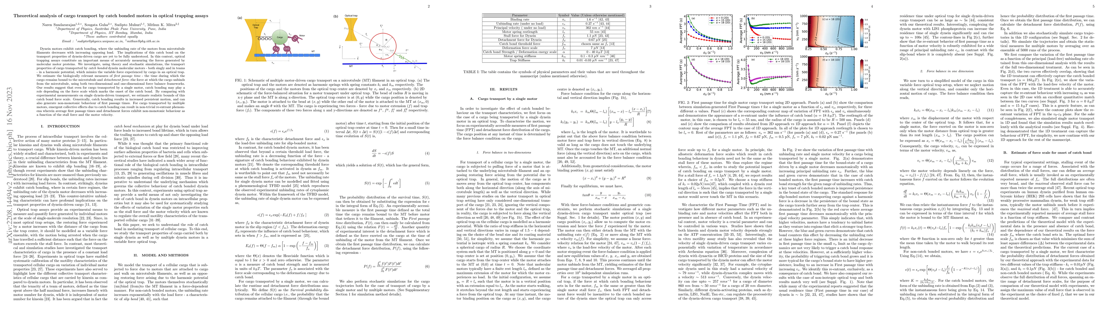 Thumbnail for Theoretical analysis of cargo transport by catch bonded motors in
  optical trapping assays