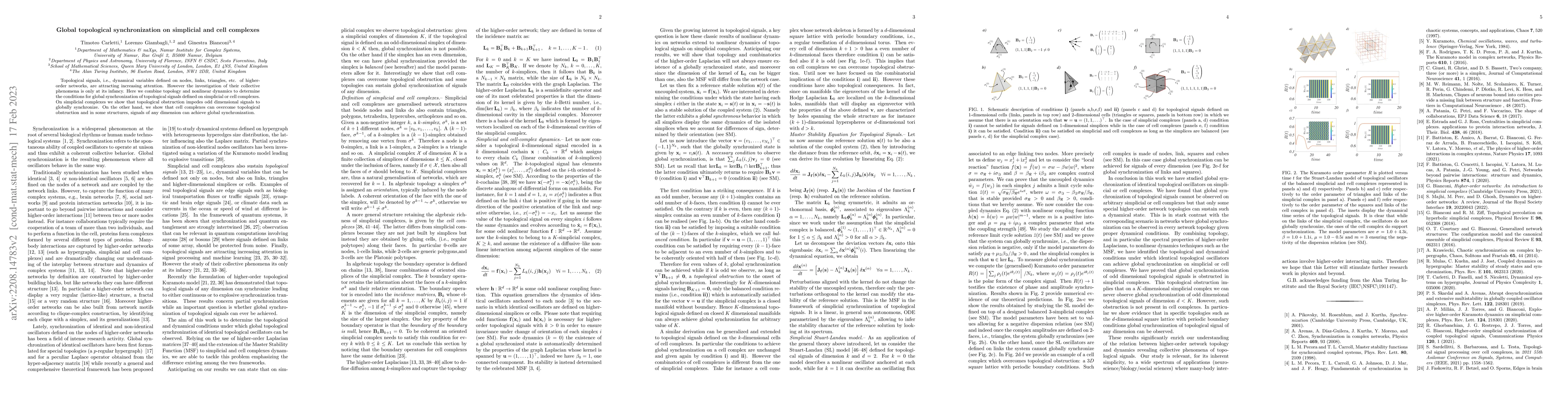 Thumbnail for Global topological synchronization on simplicial and cell complexes