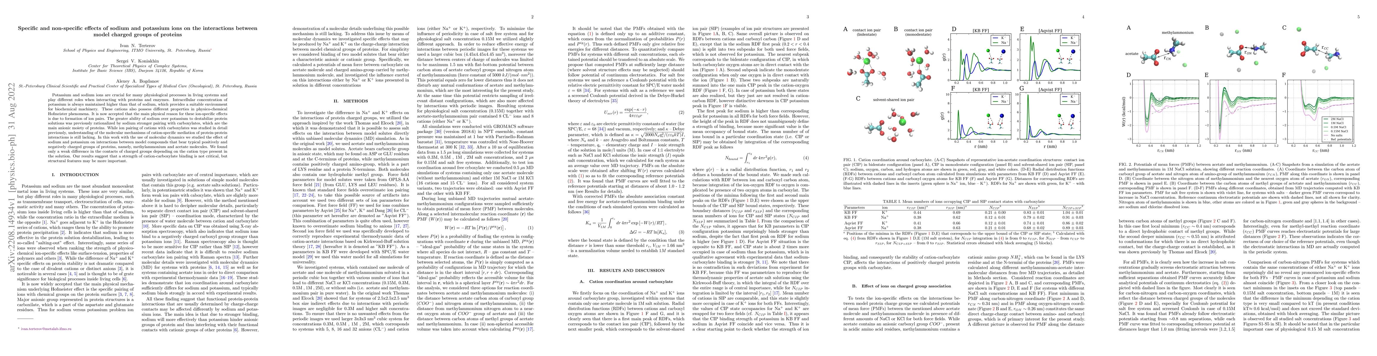 Thumbnail for Specific and non-specific effects of sodium and potassium ions on the
  interactions between model charged groups of proteins