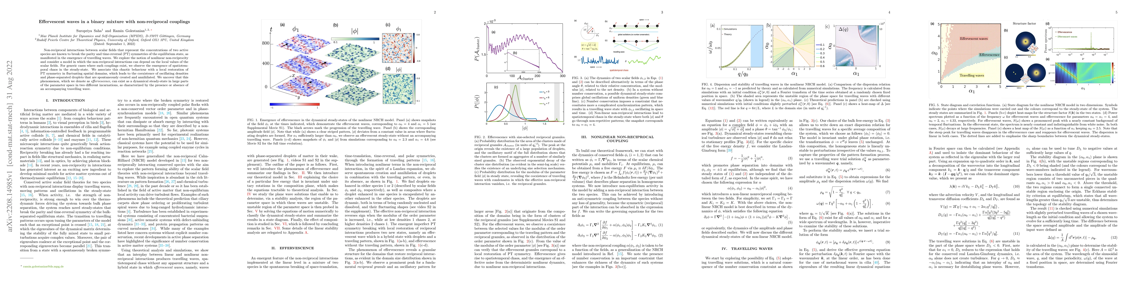 Thumbnail for Effervescent waves in a binary mixture with non-reciprocal couplings