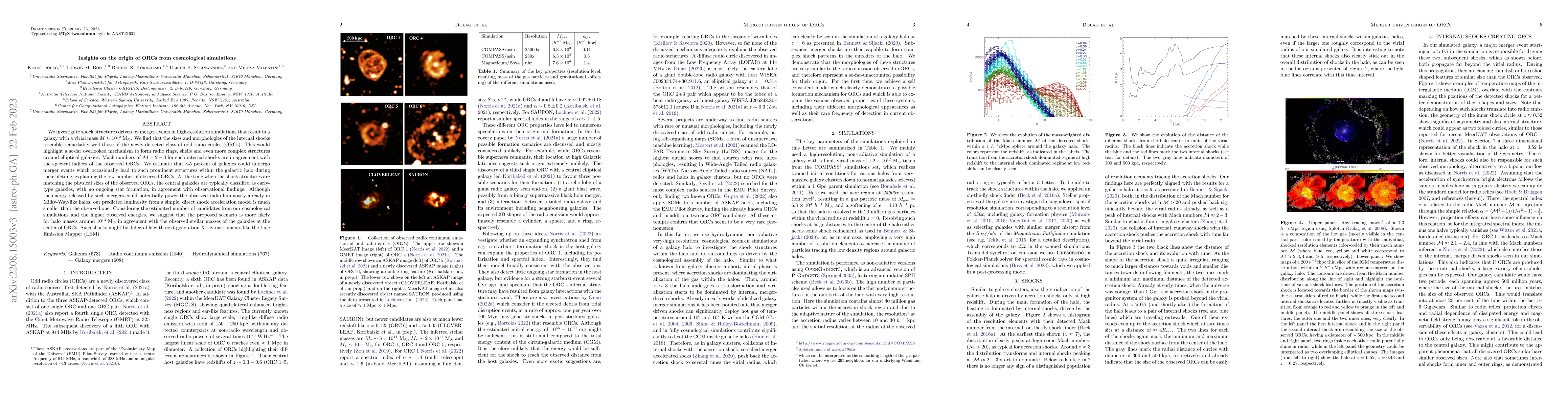 Thumbnail for Insights on the origin of ORCs from cosmological simulations