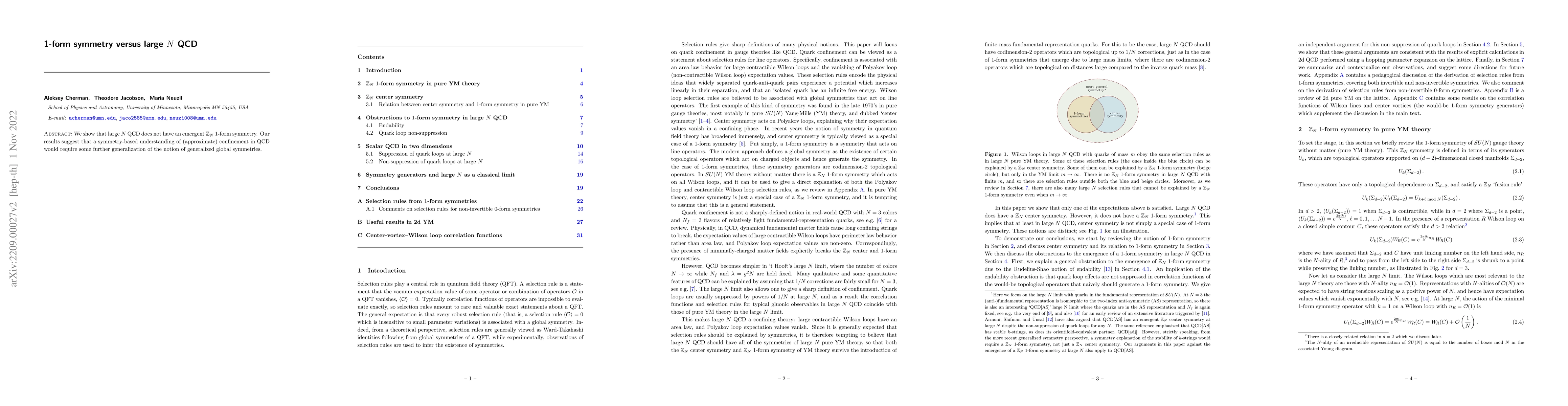 Thumbnail for 1-form symmetry versus large N QCD
