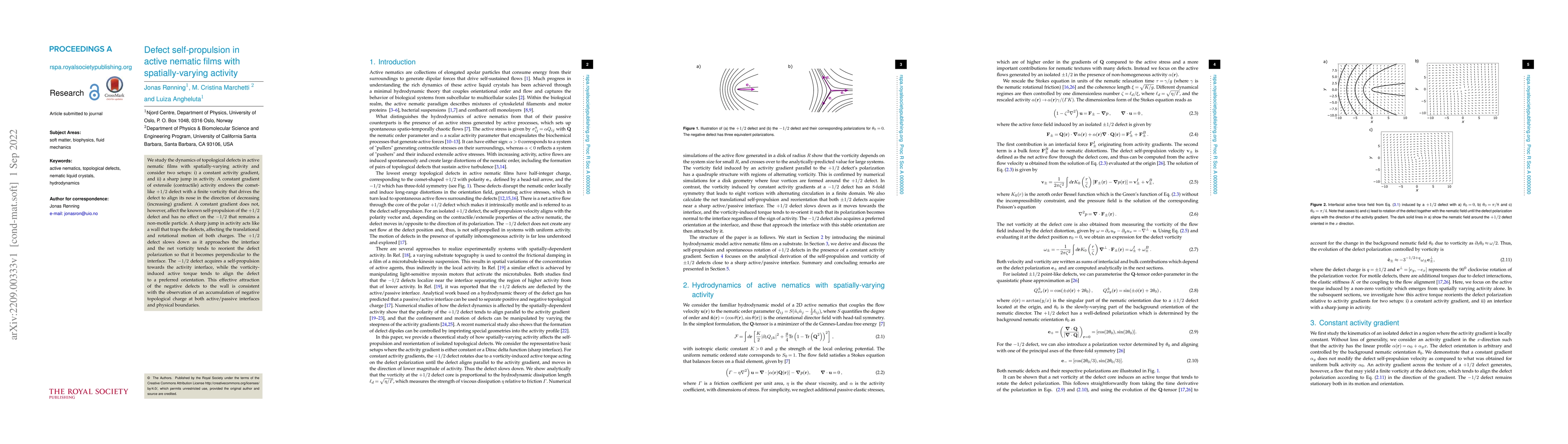 Thumbnail for Defect self-propulsion in active nematic films with spatially-varying
  activity
