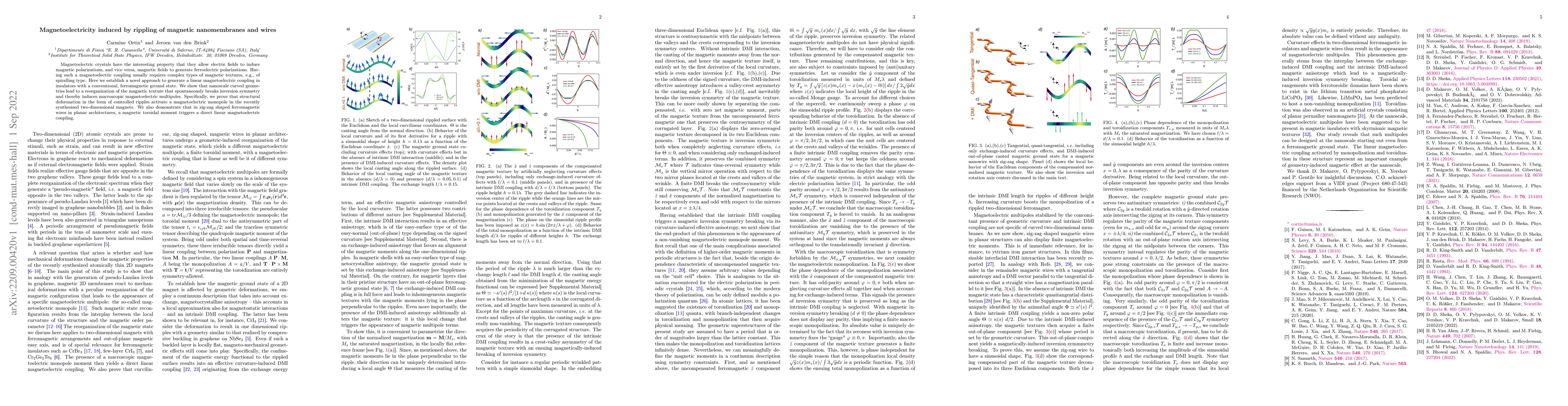 Thumbnail for Magnetoelectricity induced by rippling of magnetic nanomembranes and
  wires