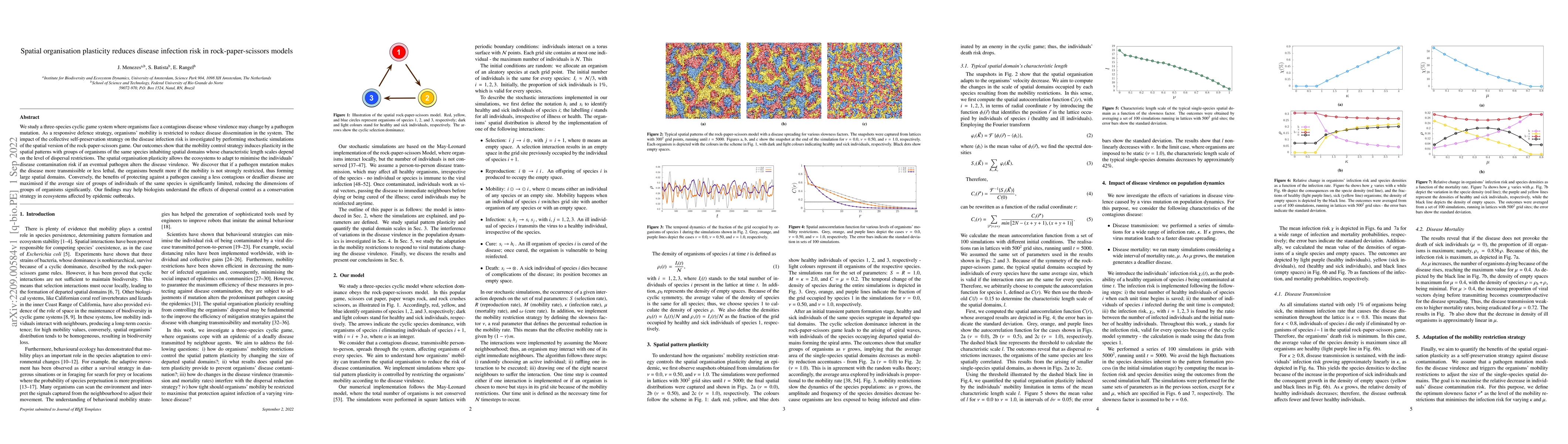 Thumbnail for Spatial organisation plasticity reduces disease infection risk in
  rock-paper-scissors models