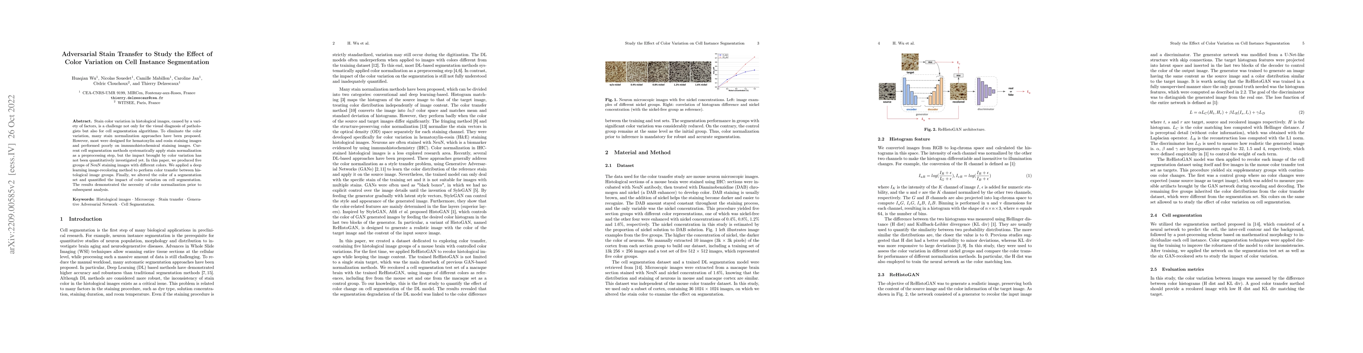 Thumbnail for Adversarial Stain Transfer to Study the Effect of Color Variation on
  Cell Instance Segmentation