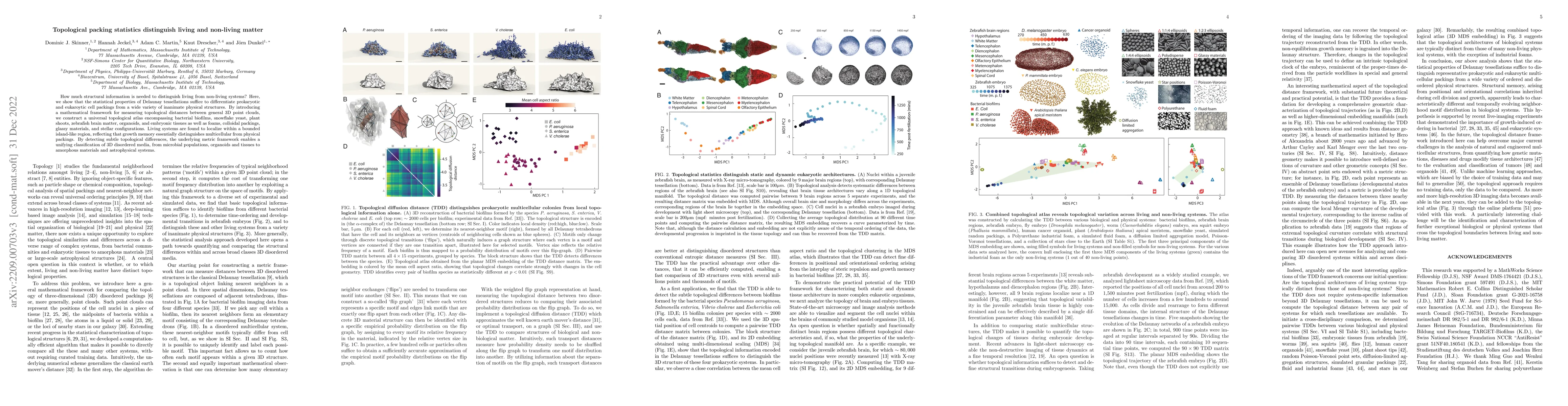 Thumbnail for Topological packing statistics distinguish living and non-living matter
