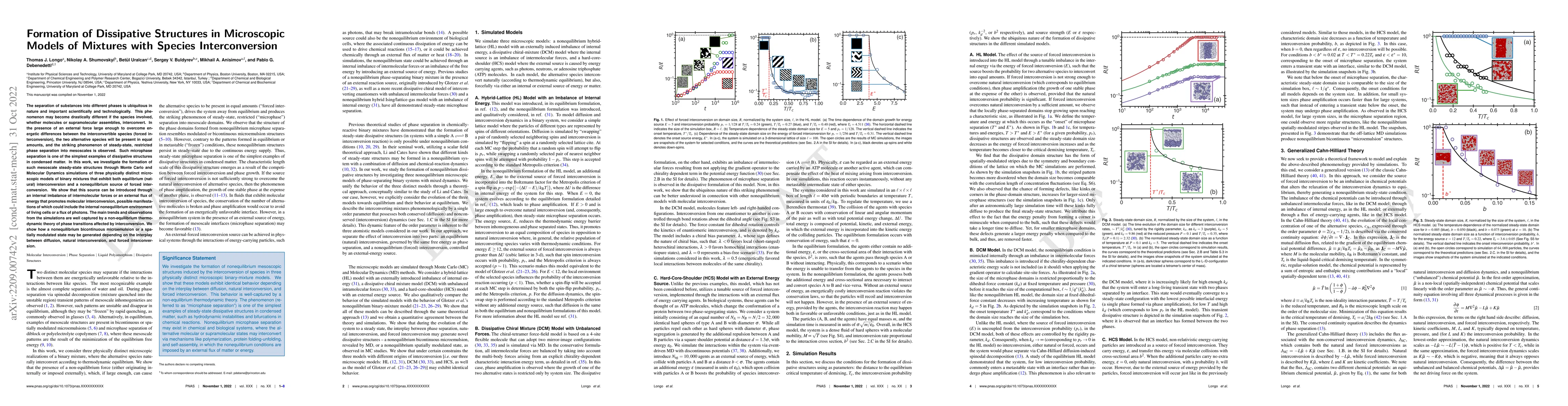 Thumbnail for Formation of Dissipative Structures in Microscopic Models of Mixtures
  with Species Interconversion