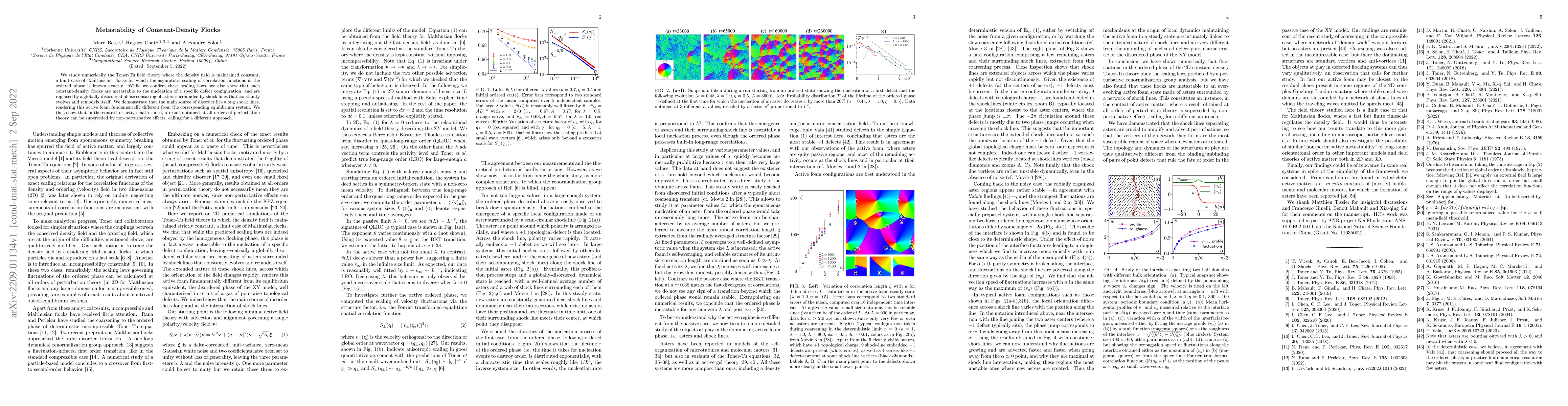 Thumbnail for Metastability of Constant-Density Flocks