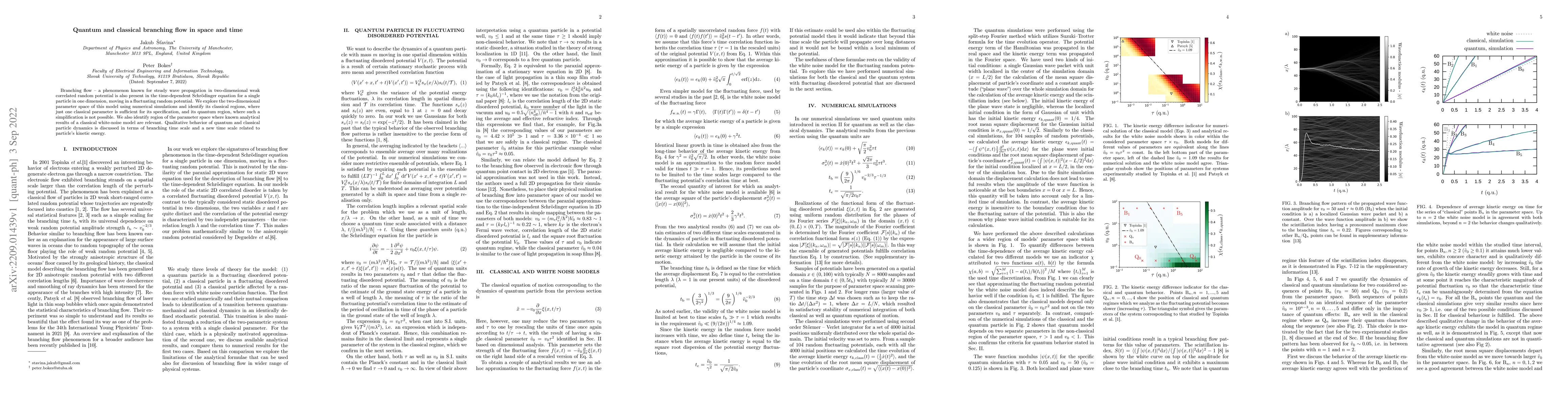 Thumbnail for Quantum and classical branching flow in space and time