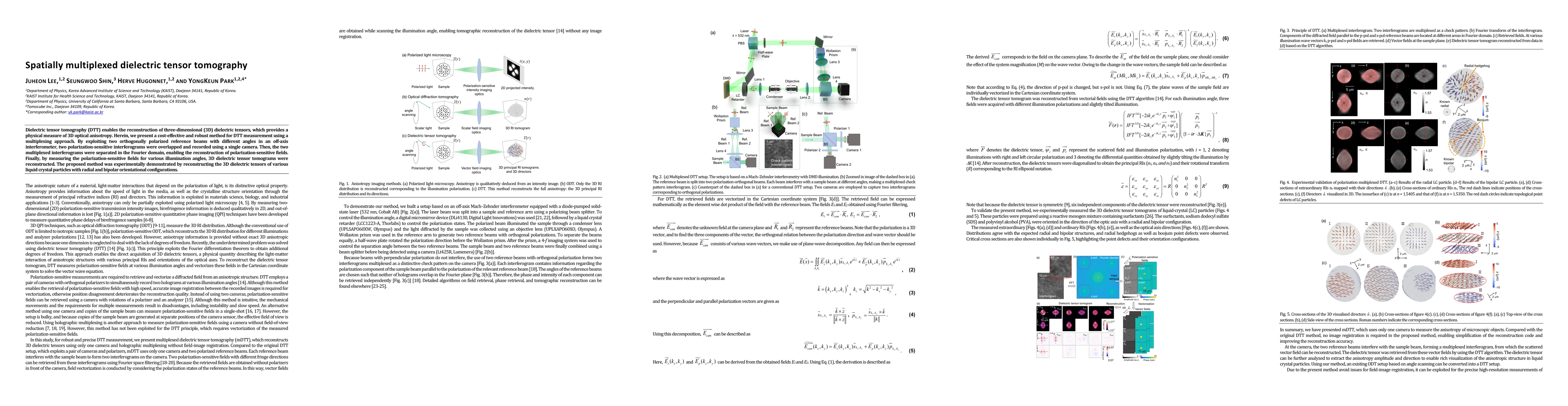 Thumbnail for Spatially multiplexed dielectric tensor tomography