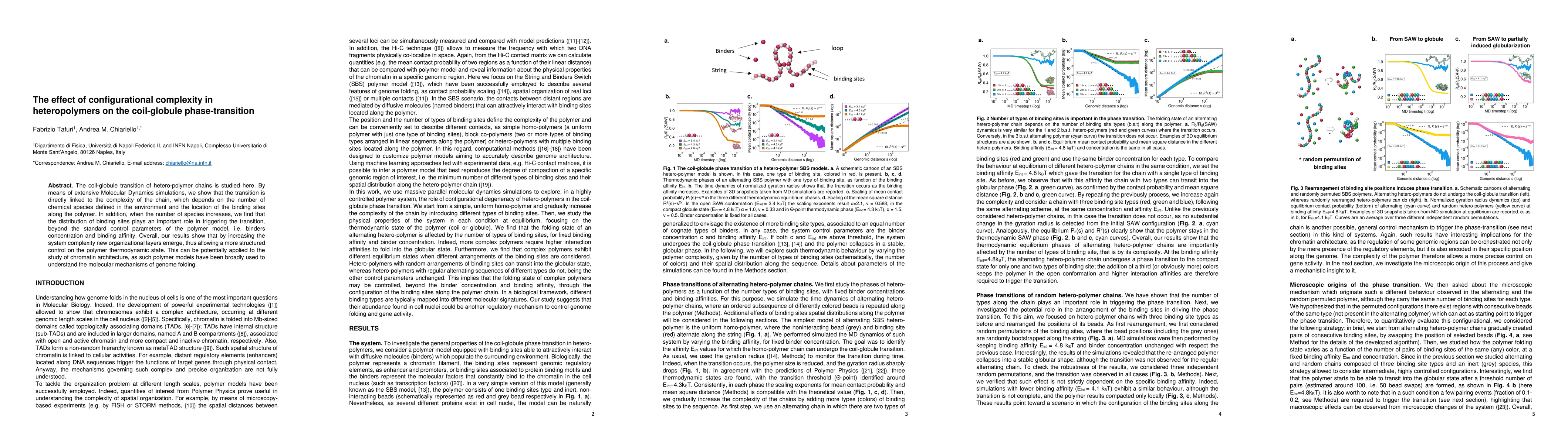 Thumbnail for The effect of configurational complexity in heteropolymers on the
  coil-globule phase-transition