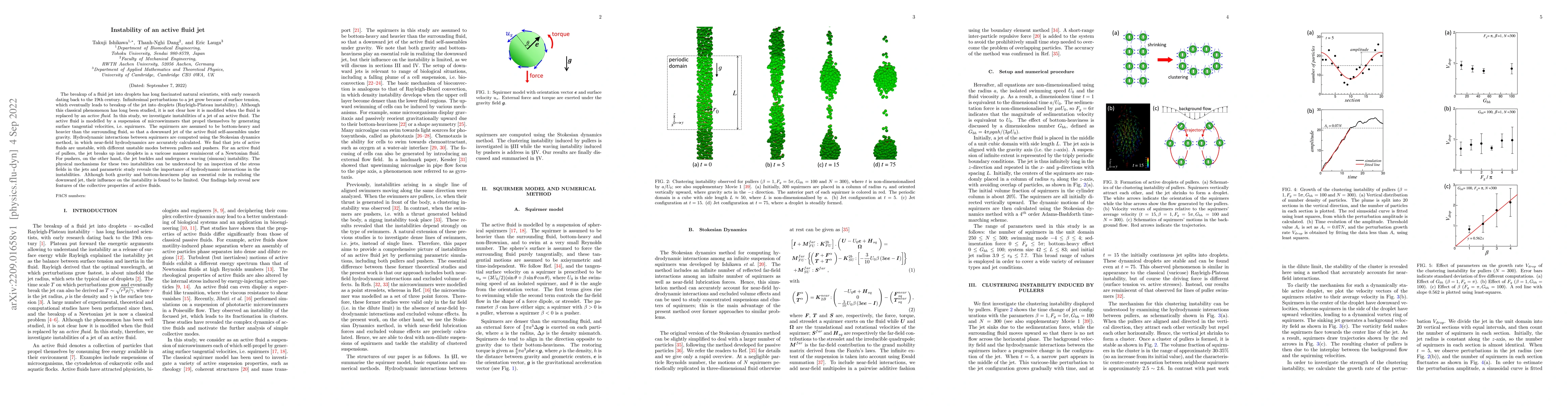 Thumbnail for Instability of an active fluid jet