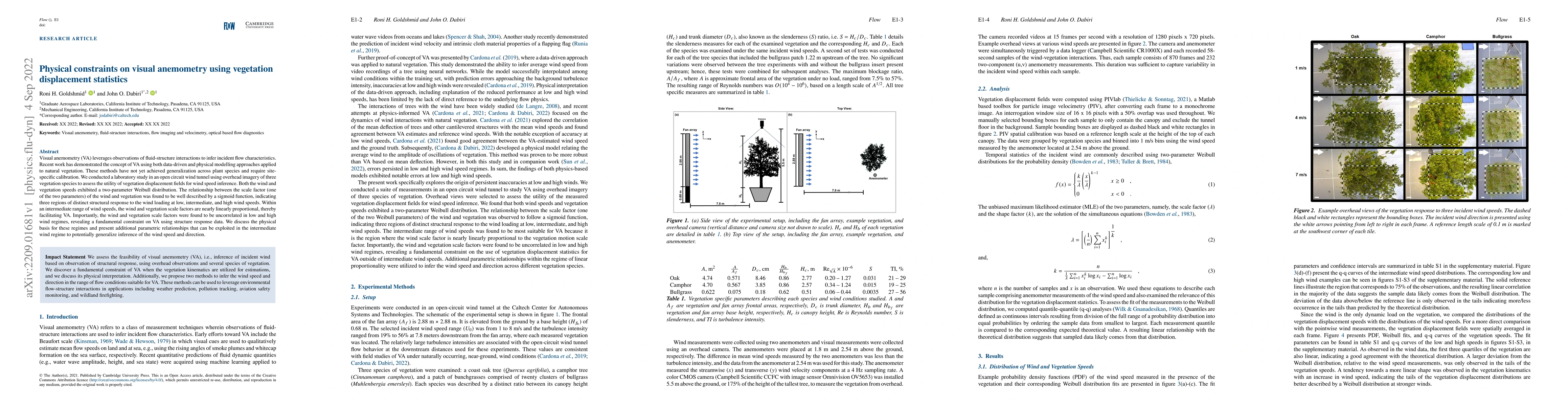 Thumbnail for Physical constraints on visual anemometry using vegetation displacement
  statistics