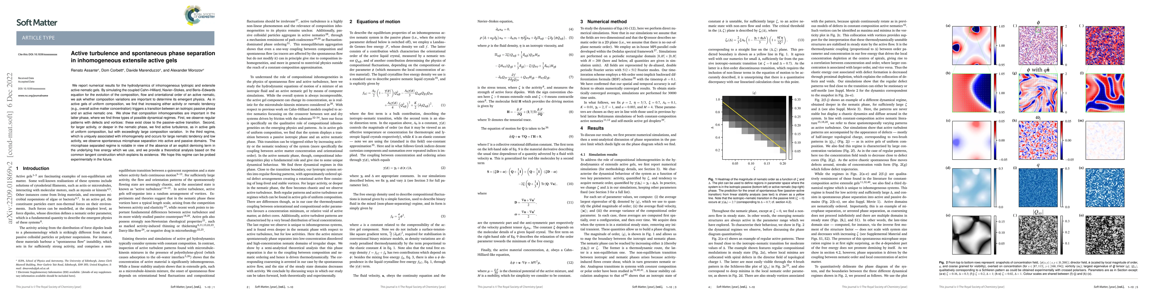 Thumbnail for Active turbulence and spontaneous phase separation in inhomogeneous
  extensile active gels